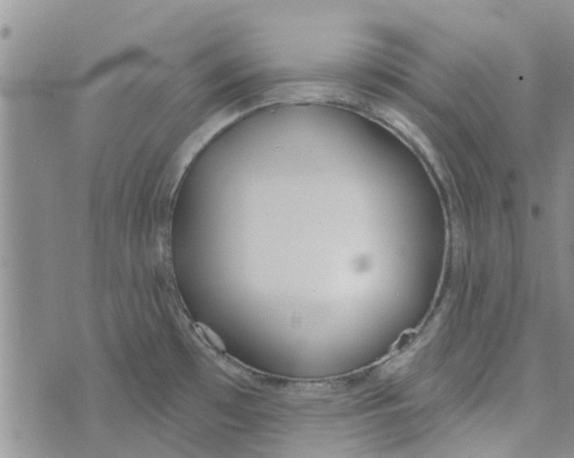 X0000072511481200608041454