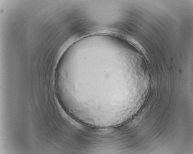 X0000072511483200608041454