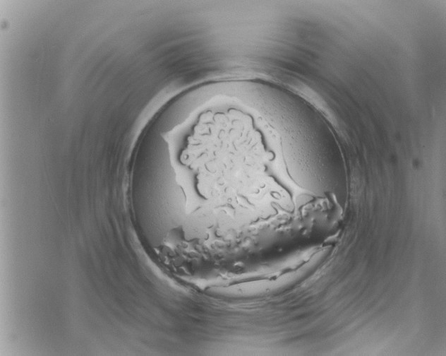 X0000072511484200608041454