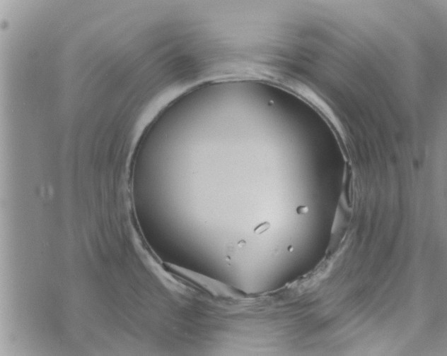 X0000072511485200608041454