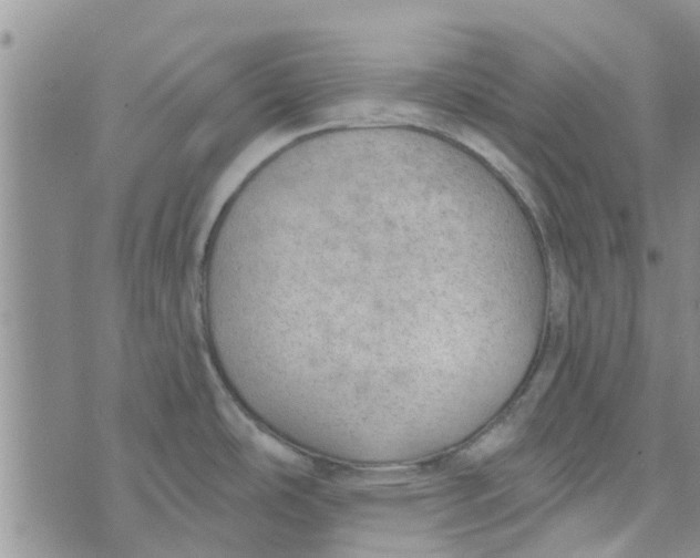 X0000072511486200608041454