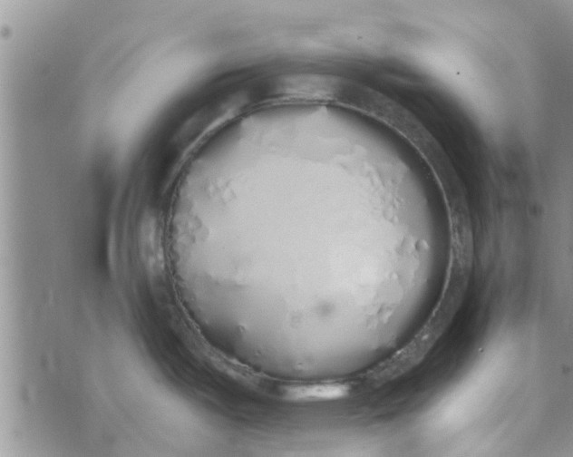 X0000072511487200608041454