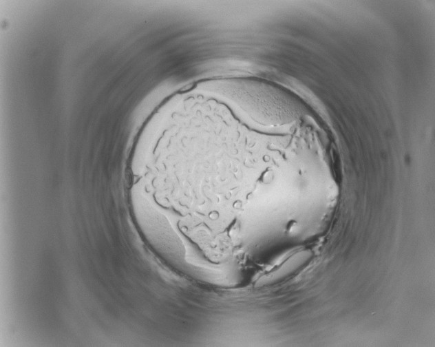 X0000072511488200608041454