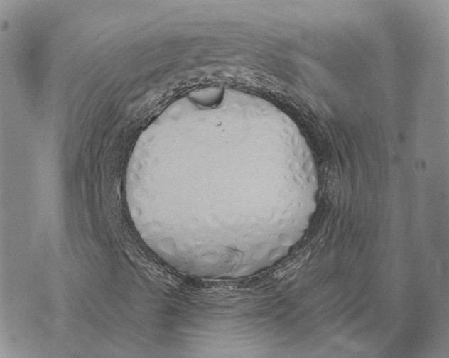 X0000072511489200608041453