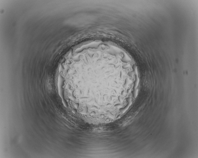 X0000072511490200608041453