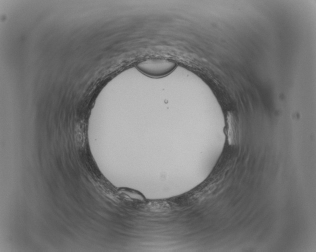 X0000072511491200608041453