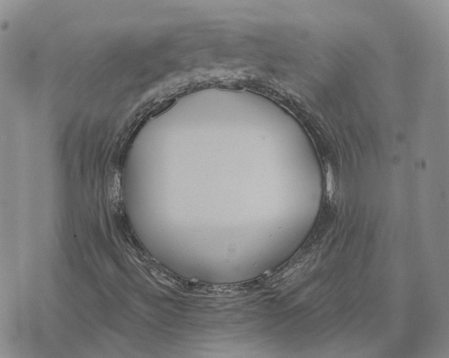 X0000072511492200608041453