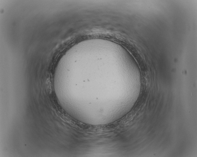 X0000072511493200608041453