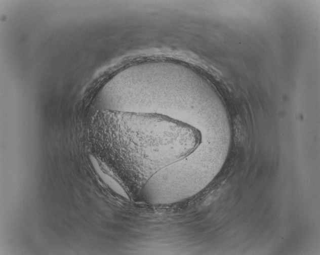 X0000072511494200608041453