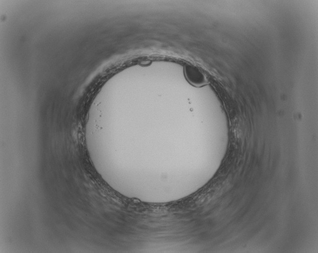 X0000072511495200608041453