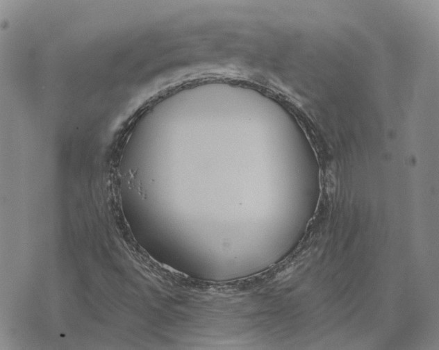 X0000072511496200608041453