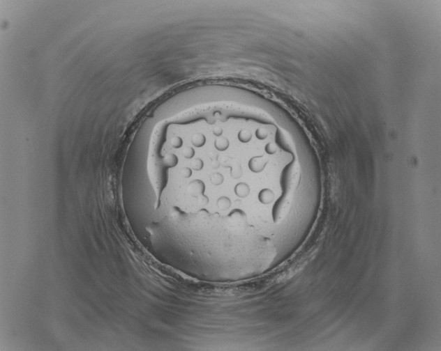 X0000072511497200608041453