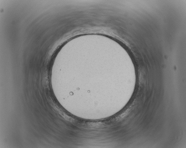 X0000072511498200608041453