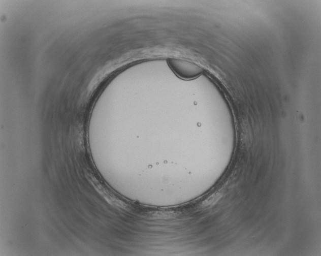 X0000072511499200608041453