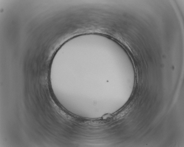 X0000072511500200608041453