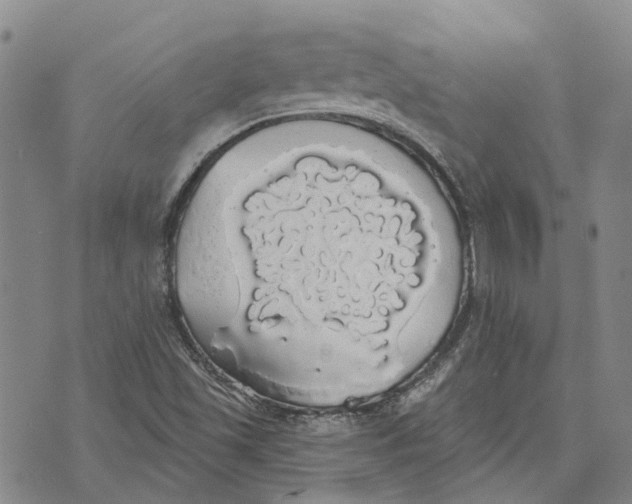 X0000072511501200608041453