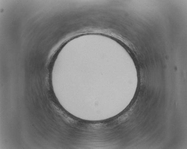 X0000072511502200608041453