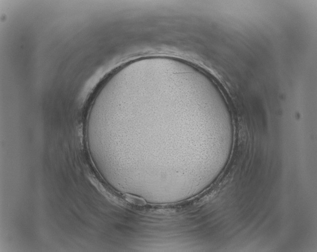 X0000072511503200608041453