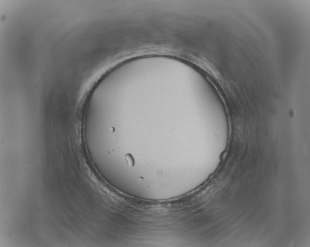 X0000072511504200608041453