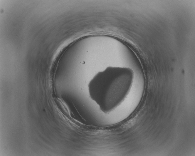 X0000072511506200608041453