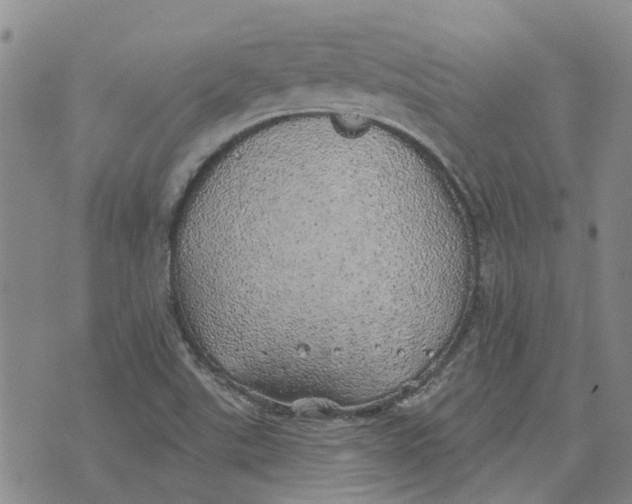 X0000072511507200608041453