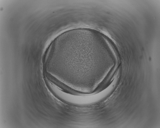 X0000072511508200608041453