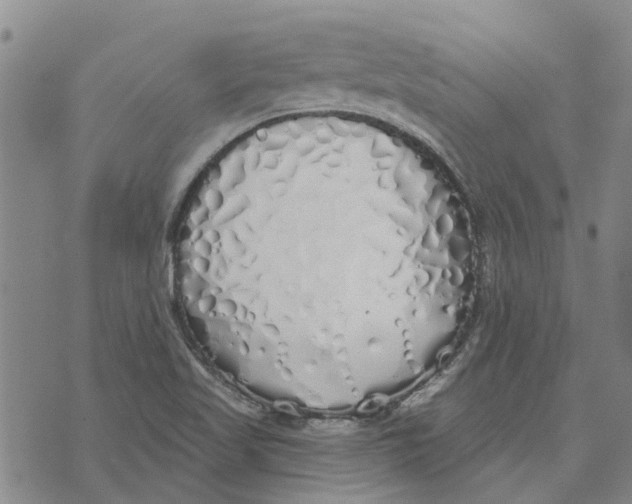 X0000072511509200608041453