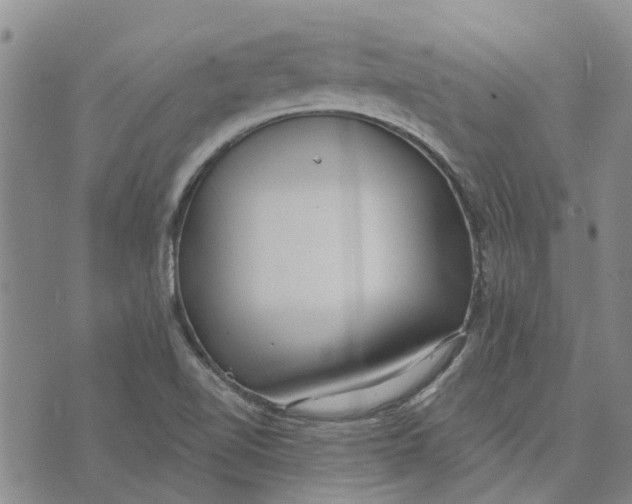 X0000072511510200608041453