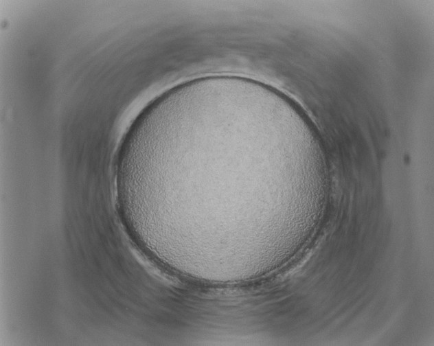 X0000072511511200608041453