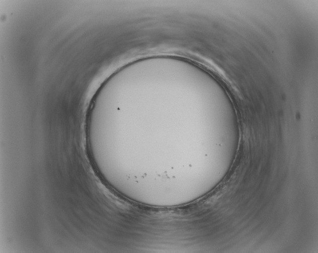 X0000072511512200608041453