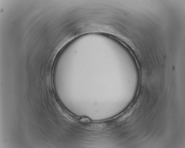 X0000072511513200608041453