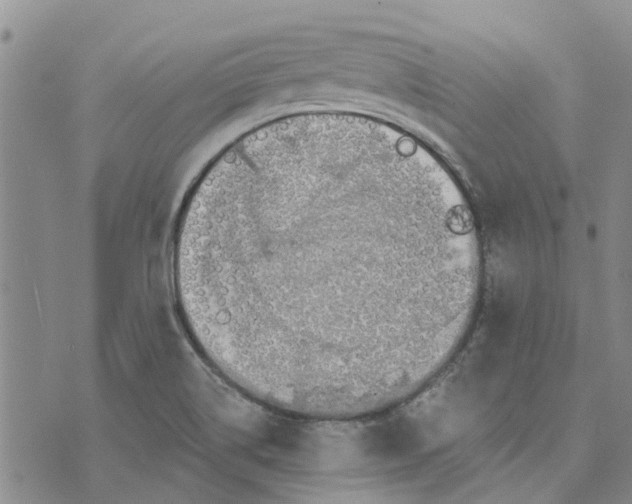 X0000072511514200608041453