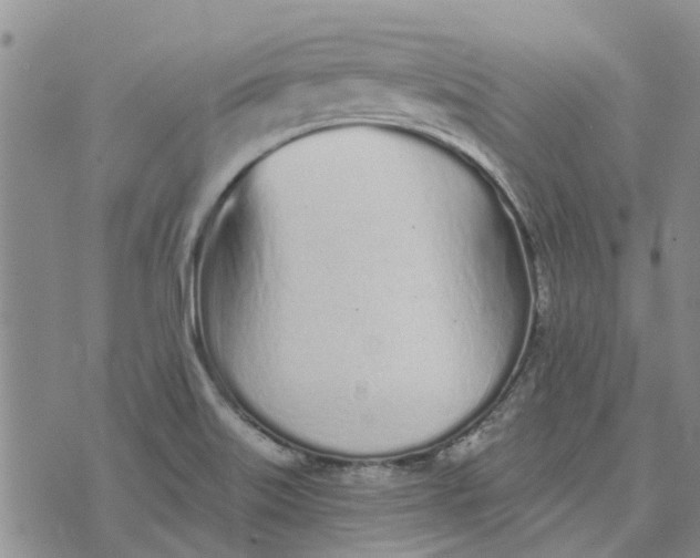 X0000072511515200608041453