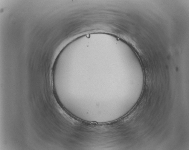 X0000072511516200608041453