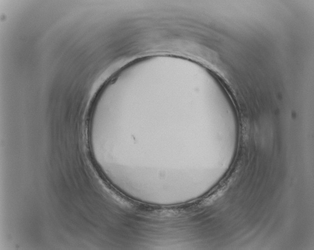 X0000072511517200608041453