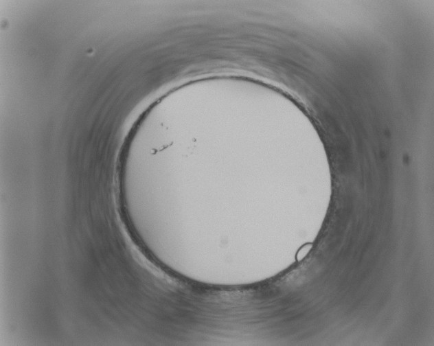 X0000072511518200608041453