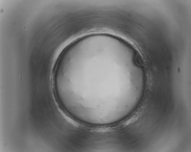 X0000072511519200608041453