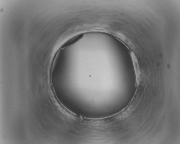 X0000072511520200608041453