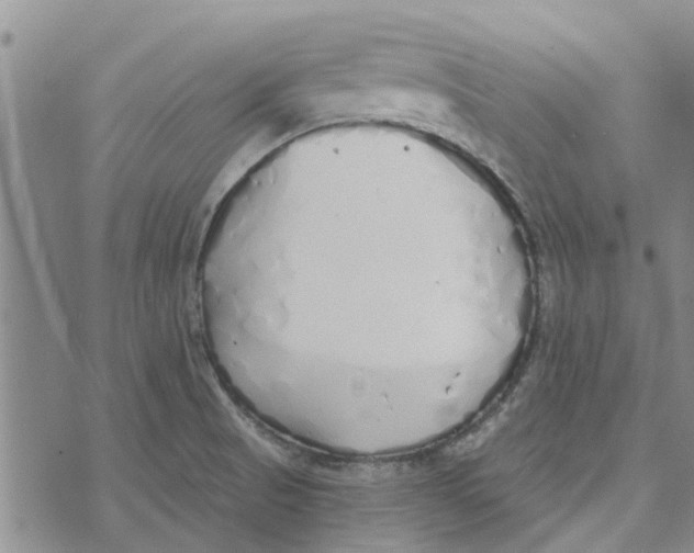 X0000072511521200608041453