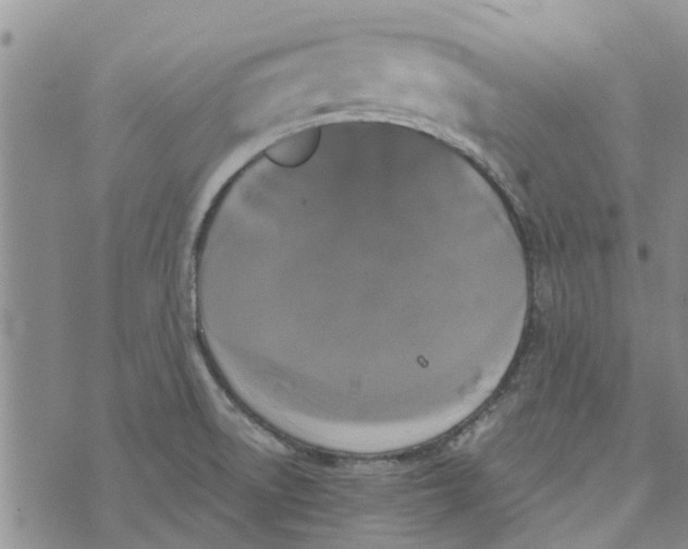 X0000072511522200608041453