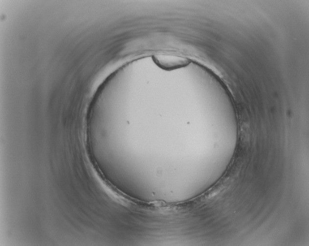 X0000072511523200608041453