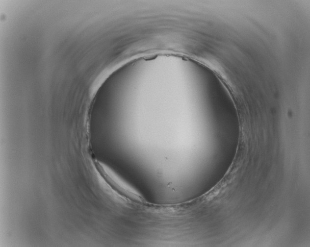 X0000072511524200608041453