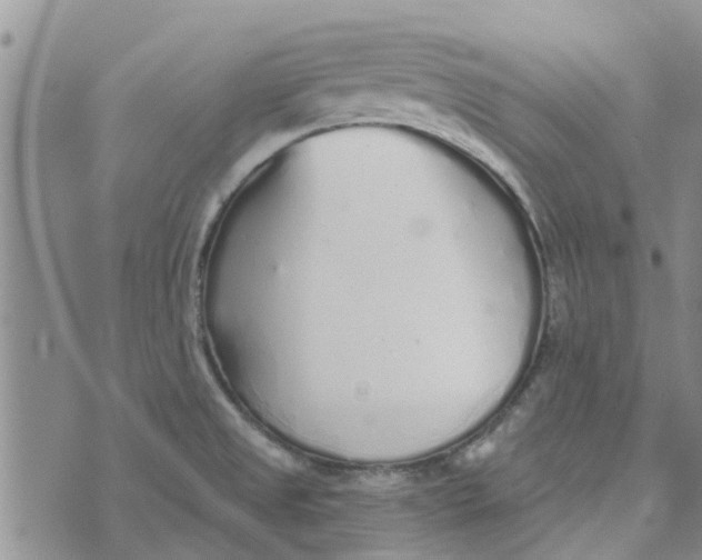 X0000072511525200608041453