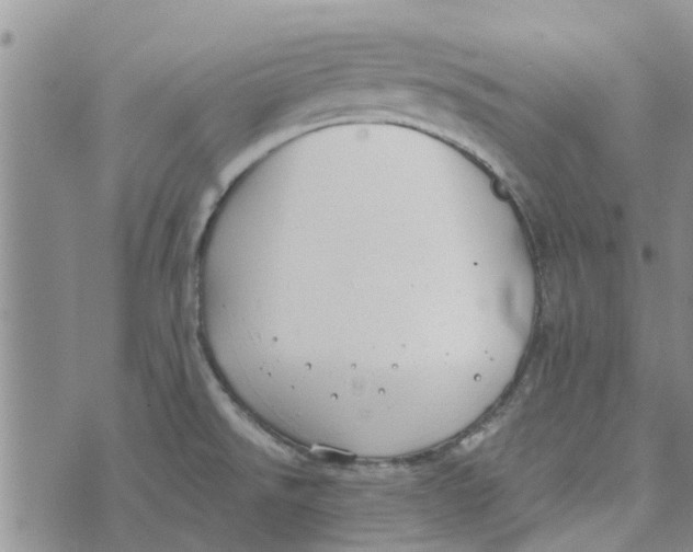 X0000072511526200608041453