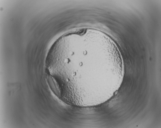 X0000072511527200608041453