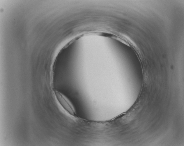 X0000072511528200608041453