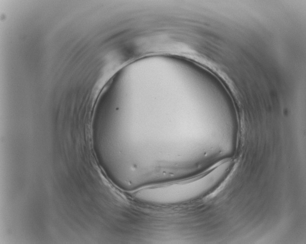 X0000072511529200608041453