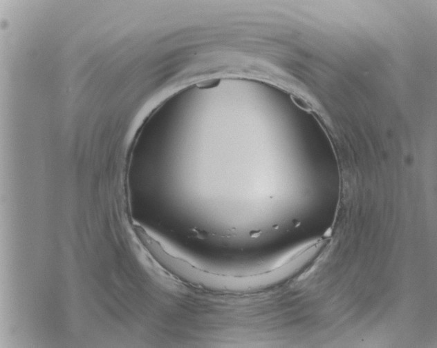 X0000072511530200608041454