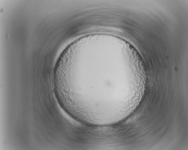 X0000072511531200608041454