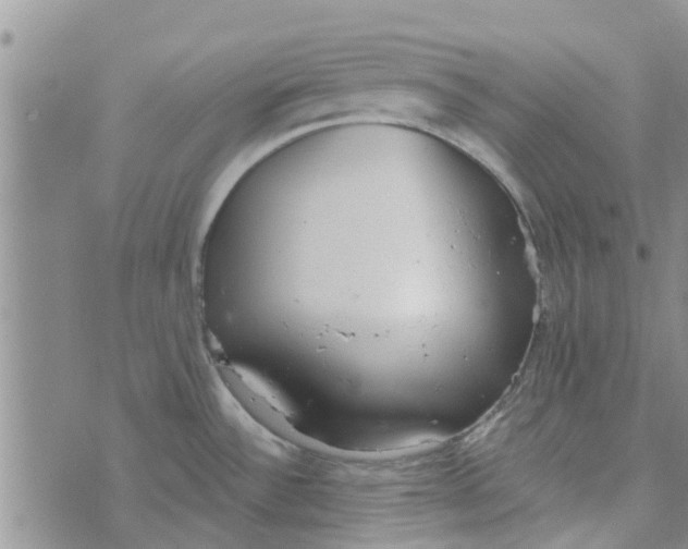 X0000072511532200608041454